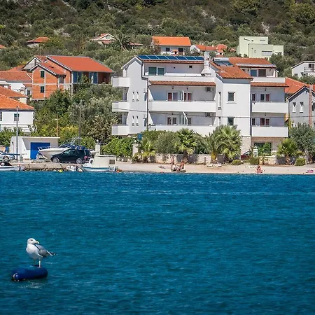 Albatros Vinisce