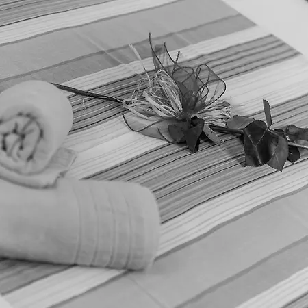 Appartement Albatros *