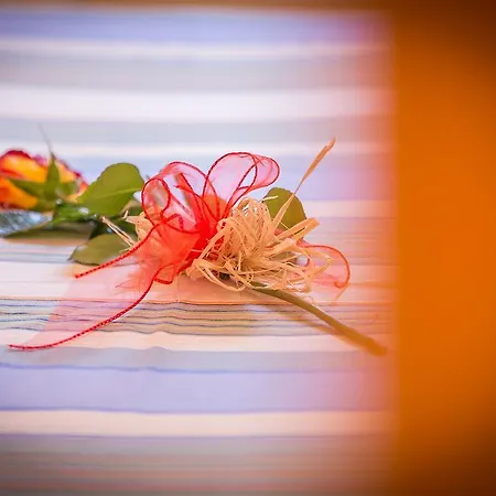 Apartment Albatros *